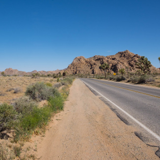 Joshua-Tree-11.jpg
