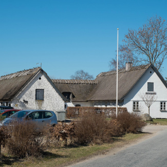 DSCF0466.jpg