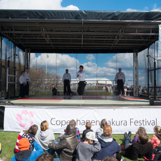 Copenhagen-Sakura-festival-27.jpg