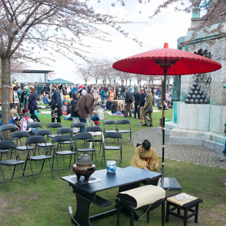 Copenhagen-Sakura-festival-20.jpg