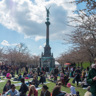 Copenhagen-Sakura-festival-10.jpg