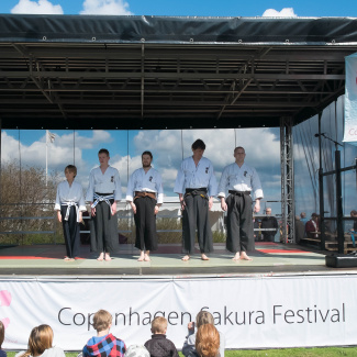 Copenhagen-Sakura-festival-34.jpg