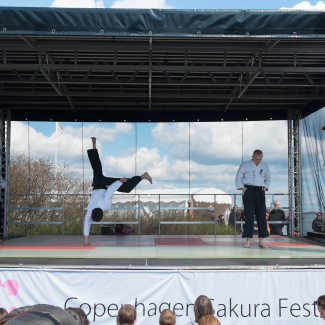 Copenhagen-Sakura-festival-33.jpg