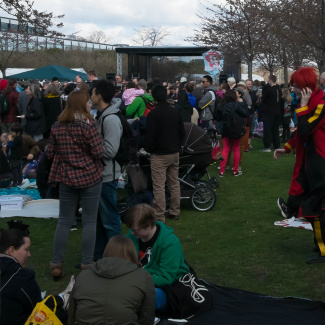 Copenhagen-Sakura-festival-5.jpg