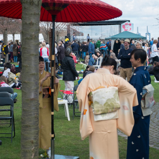 Copenhagen-Sakura-festival-19.jpg