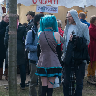 Copenhagen-Sakura-festival-6.jpg