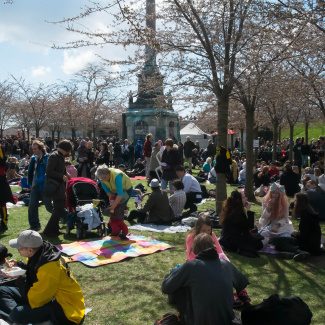 Copenhagen-Sakura-festival-2.jpg