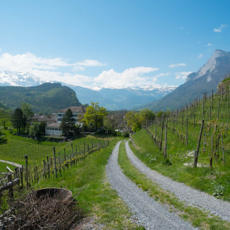 Liechtenstein-34.jpg