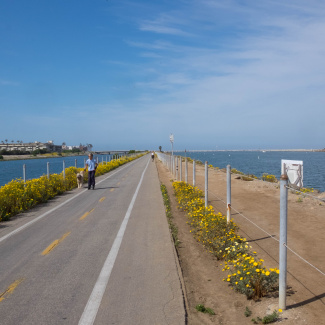 Marina Del Rey