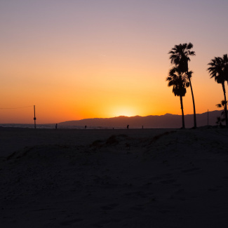 Venice Beach