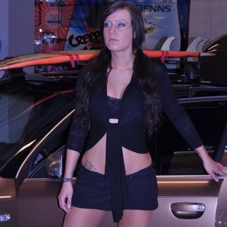 Scandinavian-Custom-show-2010-8.jpg