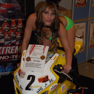 Scandinavian-Custom-Show-2008-4.jpg