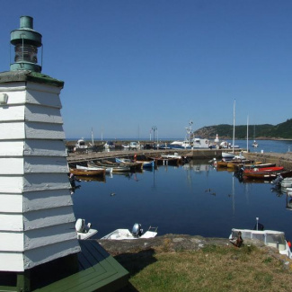 Mölle