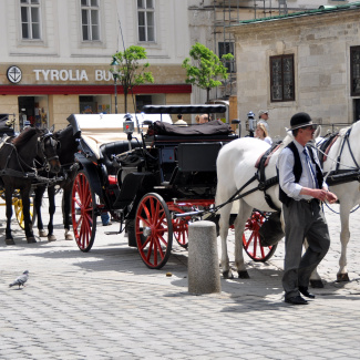 Wien-31.jpg
