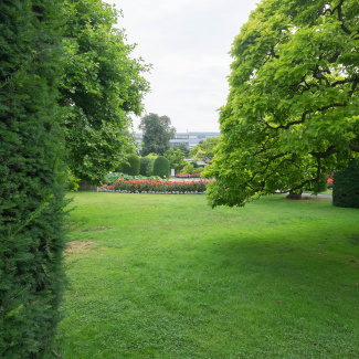 DSCF0393.jpg
