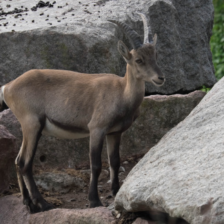 DSCF0416.jpg