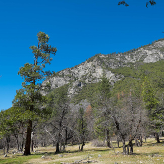 DSCF0481.jpg