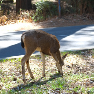 DSCF0071.jpg