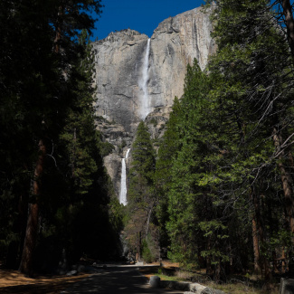 DSCF0495.jpg
