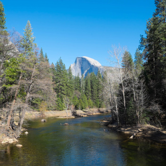 DSCF0524.jpg