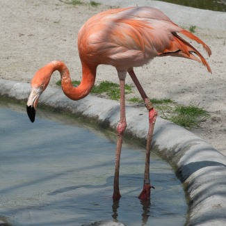 Zoo-with-XF200-55-8.jpg