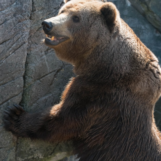 Zoo-with-XF200-55-44.jpg