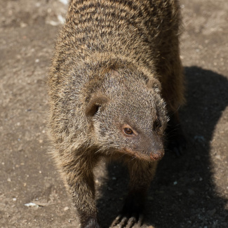 Zoo-with-XF200-55-27.jpg