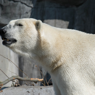 Zoo-with-XF200-55-62.jpg