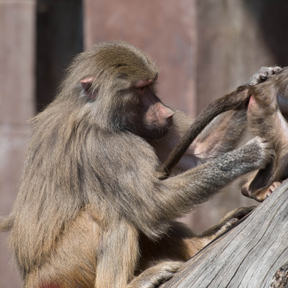 Zoo-with-XF200-55-5.jpg