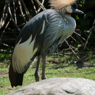 Zoo-with-XF200-55-32.jpg