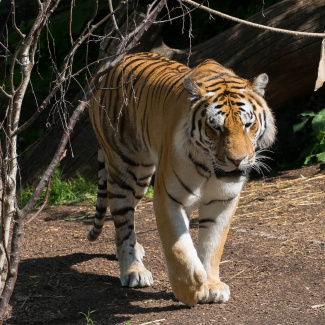 Zoo-with-XF200-55-54.jpg