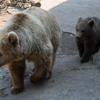 Zoo-with-XF200-55-43.jpg