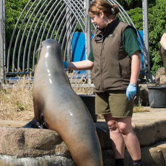 Zoo-with-XF200-55-46.jpg