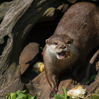 Zoo-with-XF200-55-48.jpg