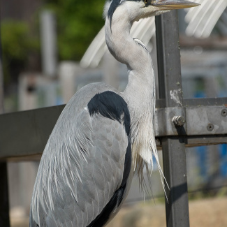 Zoo-with-XF200-55-57.jpg