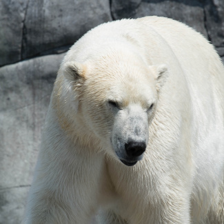 Zoo-with-XF200-55-7.jpg