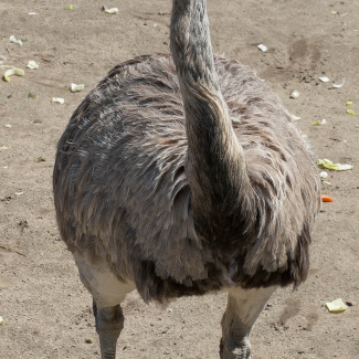 Zoo-with-XF200-55-38.jpg