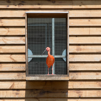 Zoo-with-XF200-55-9.jpg