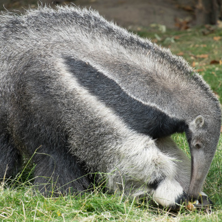 DSCF3277.jpg