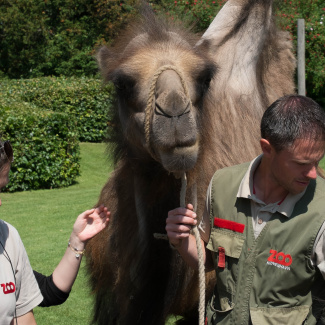 Zoo-with-XF200-55-37.jpg