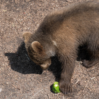 Zoo-with-XF200-55-3.jpg