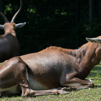Zoo-with-XF200-55-30.jpg