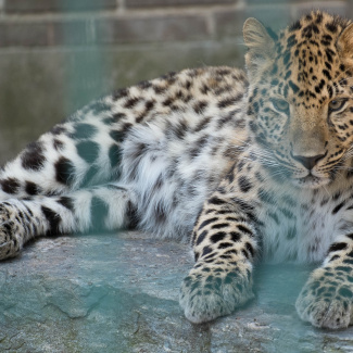 Zoo-with-XF200-55-50.jpg