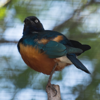 Zoo-with-XF200-55-35.jpg