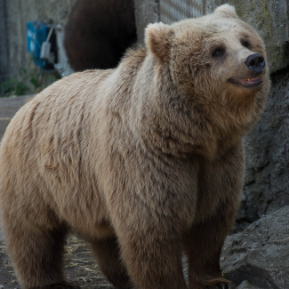 Zoo-with-XF200-55-1.jpg