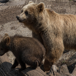 Zoo-with-XF200-55-4.jpg