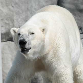 Zoo-with-XF200-55-61.jpg