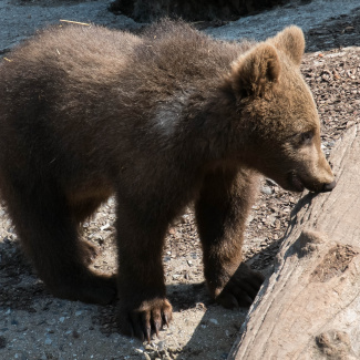 Zoo-with-XF200-55-42.jpg