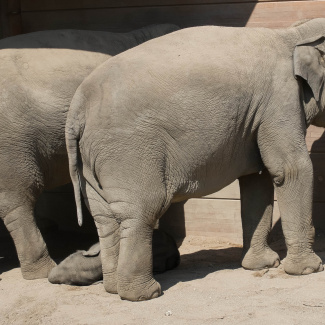 Zoo-with-XF200-55-45.jpg