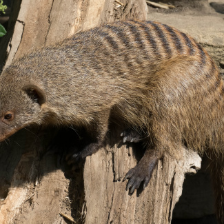 Zoo-with-XF200-55-29.jpg